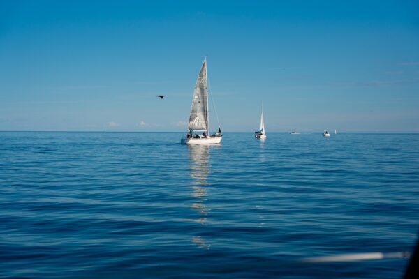 Butterfly Yacht Club - Boat Rental in Toronto (32)