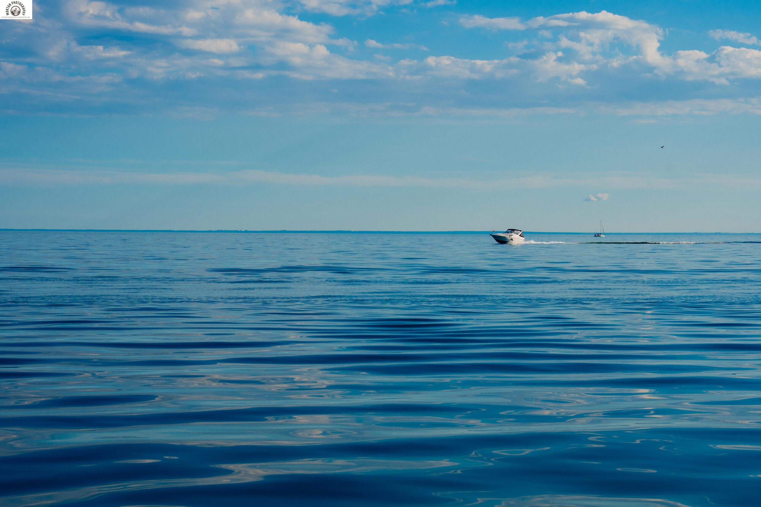 Butterfly Yacht Club - Boat Rental in Toronto (40)