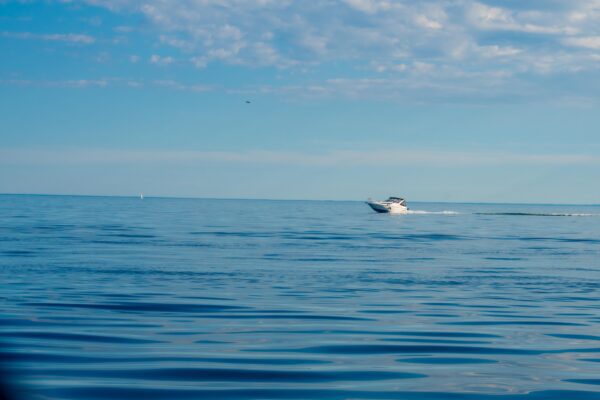 Island Escape Charter - Image 4